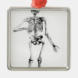 Human Skeleton Metal Ornament