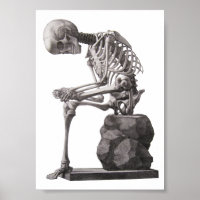 Human Skeleton Sitting Anatomy science Art