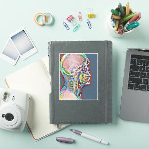 Human Skeleton Skull Abstract Anatomy original Art