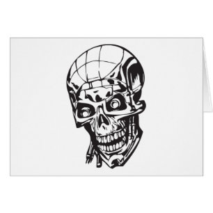Human Skull 159