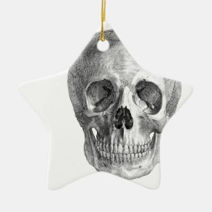 Human skull anatomy sketch drawing ceramic ornament