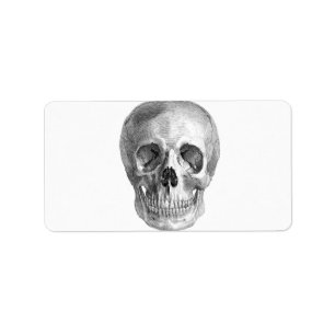 Human skull anatomy sketch drawing label