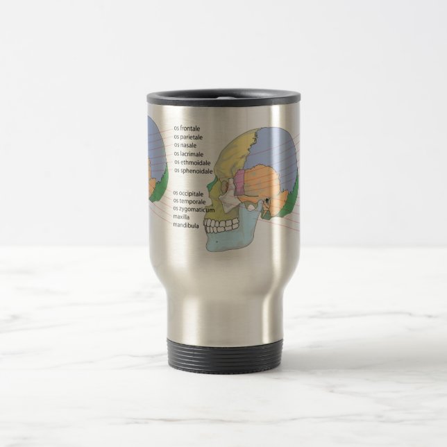 Human Skull Bone Name Chart Travel Mug (Center)