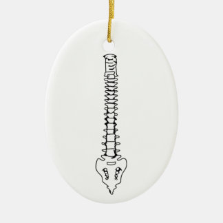 Human Spine Ceramic Ornament