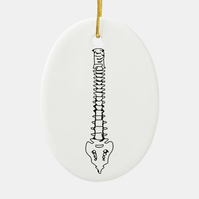 Human Spine Ceramic Ornament (Front)