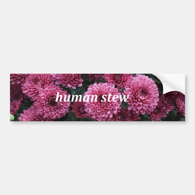 Human Stew Bumper Sticker (Front)