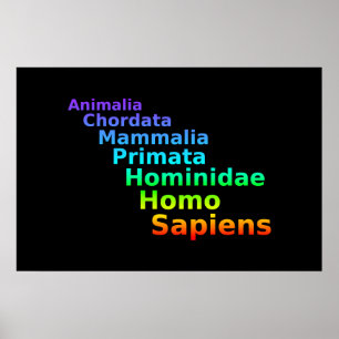 Human Taxonomy Poster