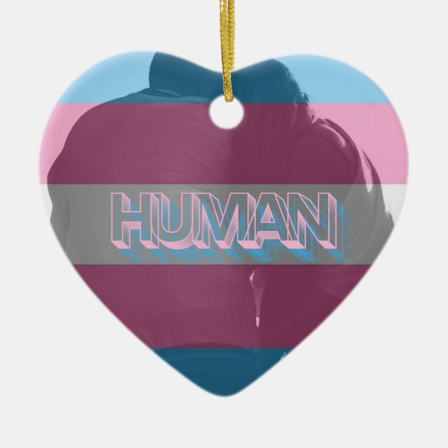 Human Trans Pride Ornament (Front)