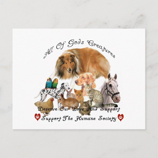 Humane Society All God's Creatures Animal Support Postcard (Front)
