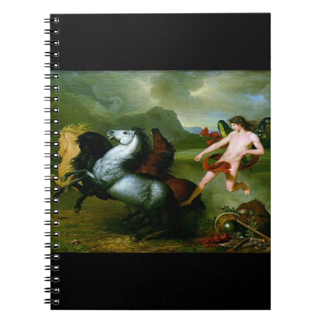 Humanitarian Spirit circa 1793 Notebook (Front)