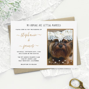 Humans Getting Married Custom Pet Photo Wedding Invitation