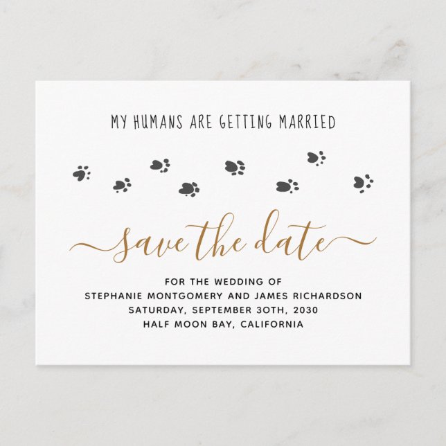 Humans Getting Married Pet Wedding Save the Date Invitation Postcard (Front)