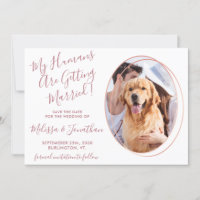 Humans Getting Married Photo Pet Wedding Rose Gold