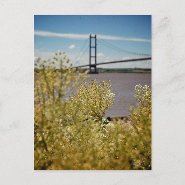 Humber Bridge in the Sun [Postcard] Postcard (Front)