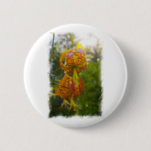 Humboldt Lilies Sunburst 2 Inch Round Button