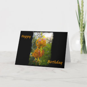 Humboldt Lilies Sunburst Birthday Card