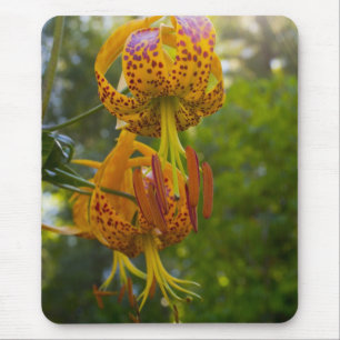Humboldt Lilies Sunburst Mouse Pad