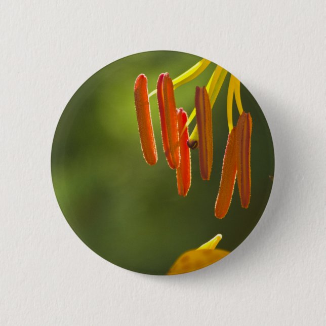 Humboldt Lily Stamens 2 Inch Round Button (Front)