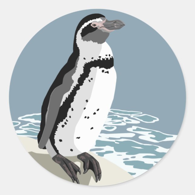 Humboldt Penguin Stickers (Front)