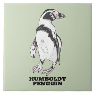 Humboldt penguin tile