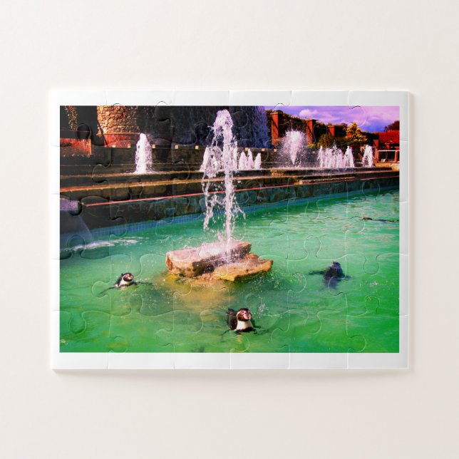 Humboldt penguins birds jigsaw puzzle (Horizontal)