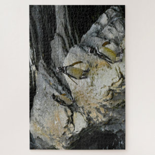 Humboldt Penguins. Jigsaw Puzzle