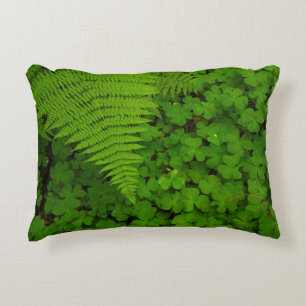 Humboldt Redwoods State Park Accent Pillow