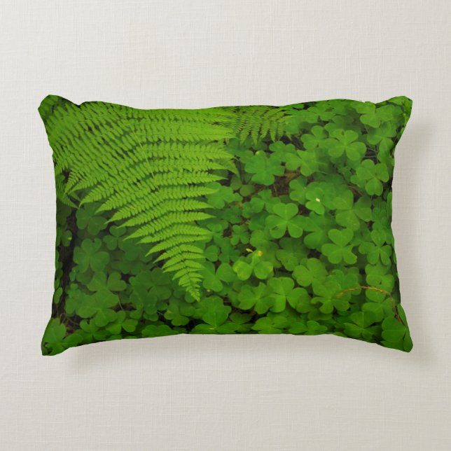 Humboldt Redwoods State Park Accent Pillow (Front)