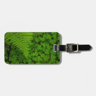 Humboldt Redwoods State Park Luggage Tag