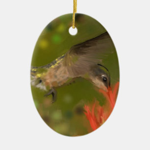 hummer drinking ceramic ornament