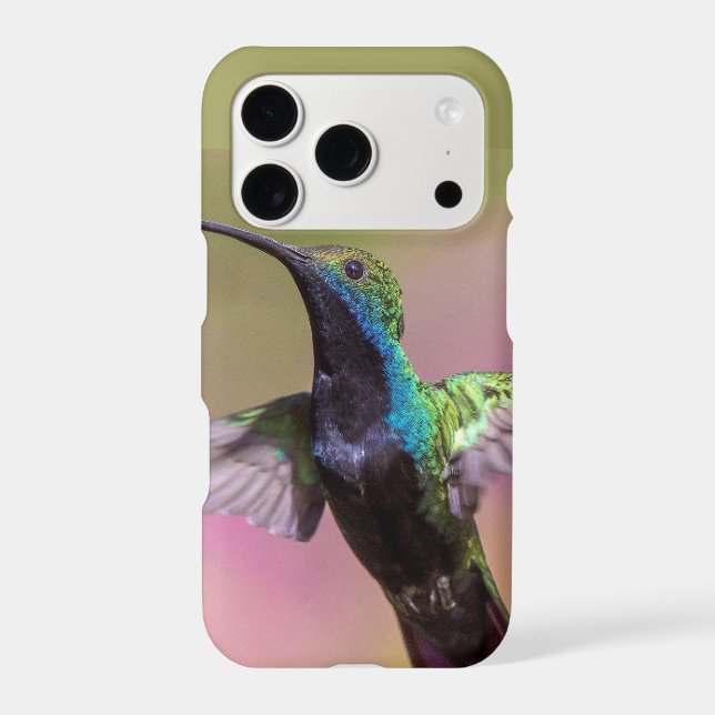 Humming Bird  (Back)