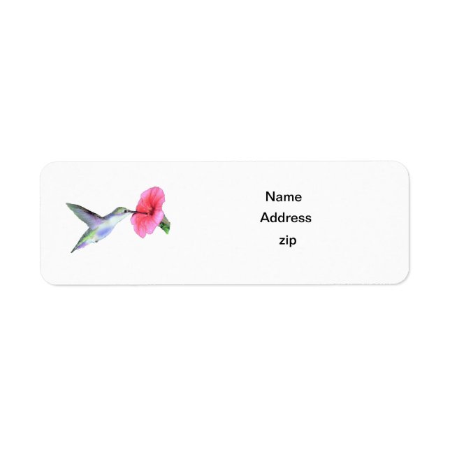 Humming Bird (Devant)
