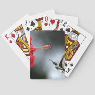 Humming Bird and Red Flower Playing Cards