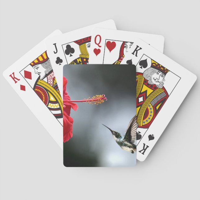 Humming Bird and Red Flower Playing Cards (Back)