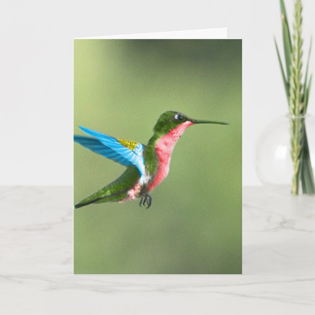 Humming Bird Card for all occasions. (Front)