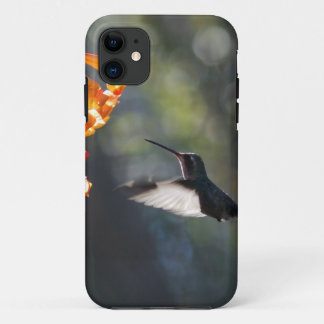 Humming Bird iPhone 11 Case
