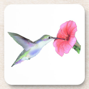 Humming Bird Cork Coaster (6) 3.8x3.8"