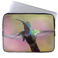 Humming Bird
