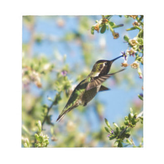 Humming Bird Notepad
