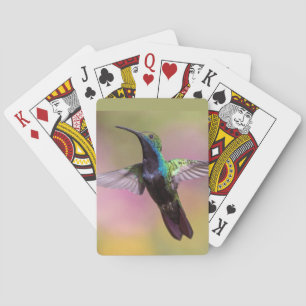 Humming Bird  Playing Cards
