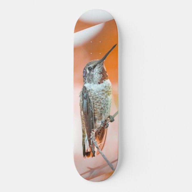 Humming bird skateboard (Front)