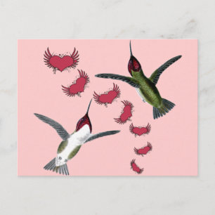 Humming Birds Grunge Hearts with Wings Postcard