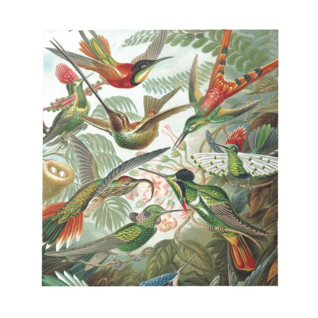 Humming Birds Paradise art Notepad (Front)