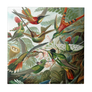 Humming Birds Paradise art Tile