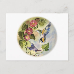 Humming Birds Postcard