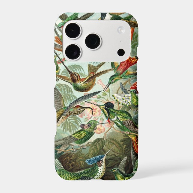 Hummingbird (Back)