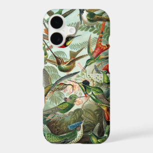 Hummingbird