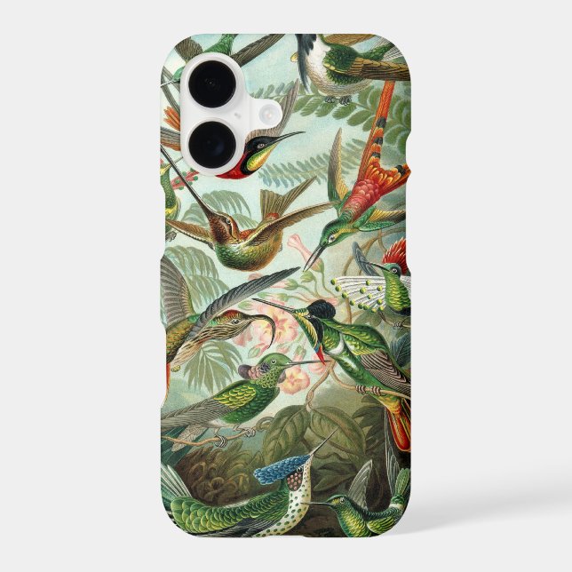 Hummingbird (Back)