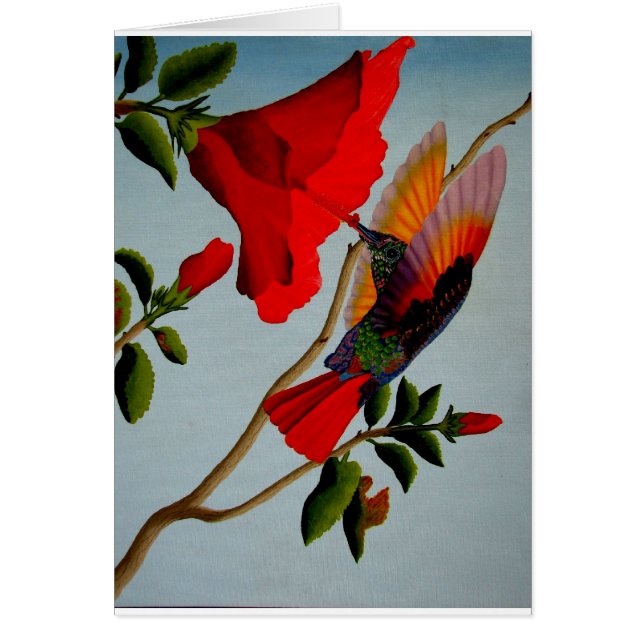 Hummingbird (Front)