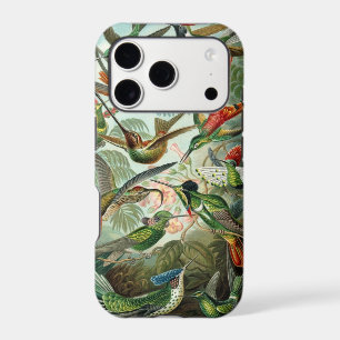 Hummingbird
